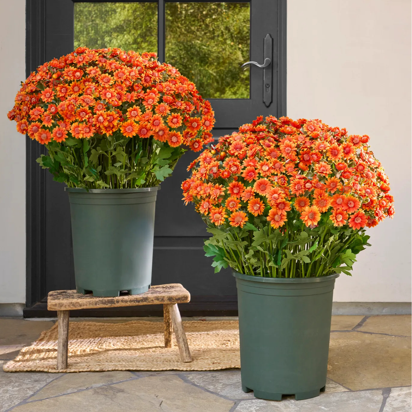 💥Last Day Each Only $2.99- Artificial Outdoor Sunset Mums Flowers - UV resistant, Waterproof, Windproof