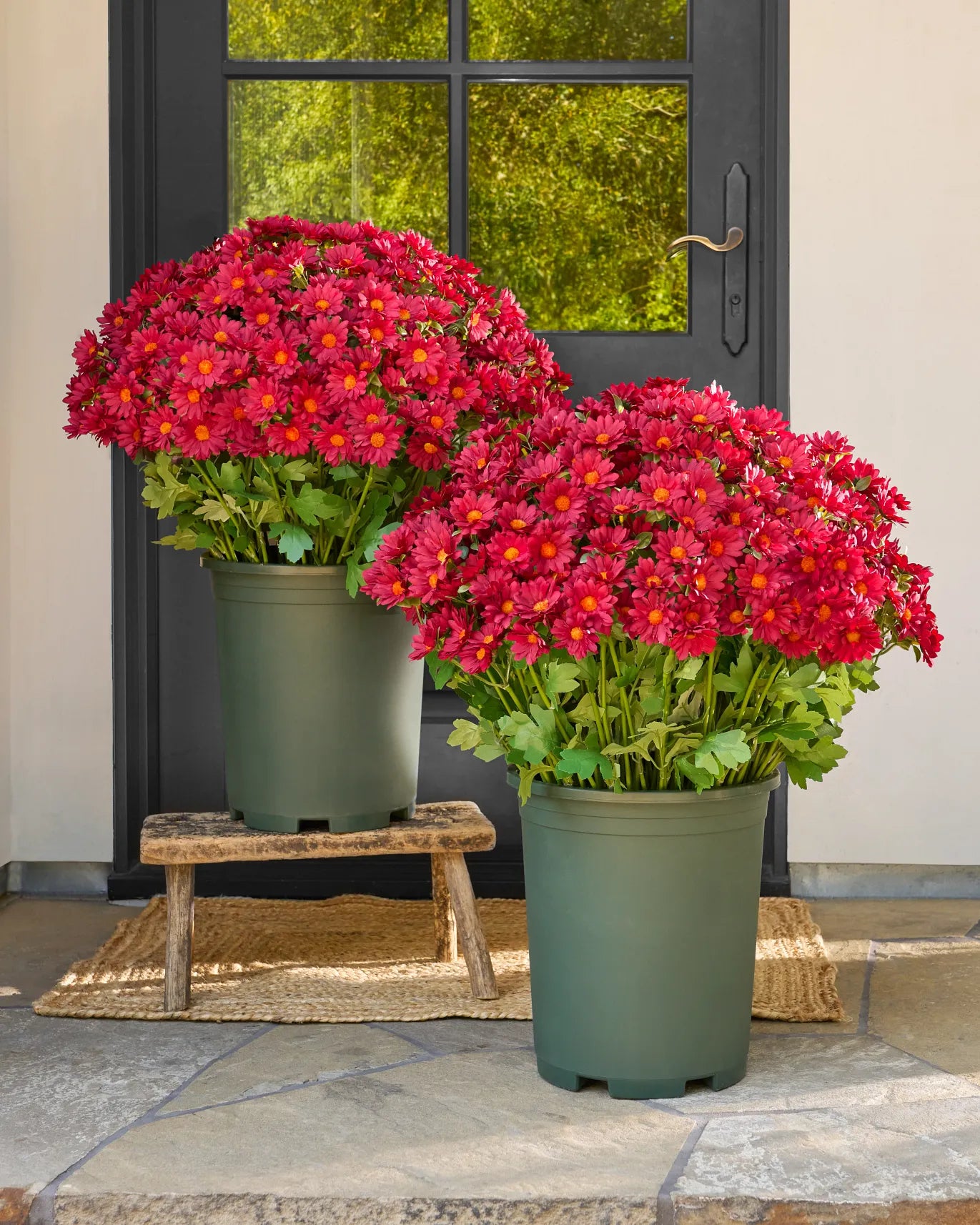 💥Last Day Each Only $2.99- Artificial Outdoor Sunset Mums Flowers - UV resistant, Waterproof, Windproof
