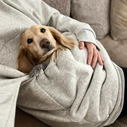 Pet Pouch Hoodie